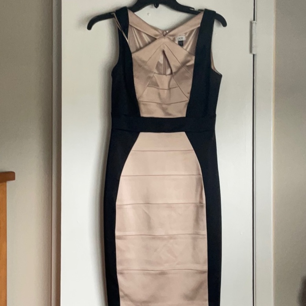 Black and tan silk dress